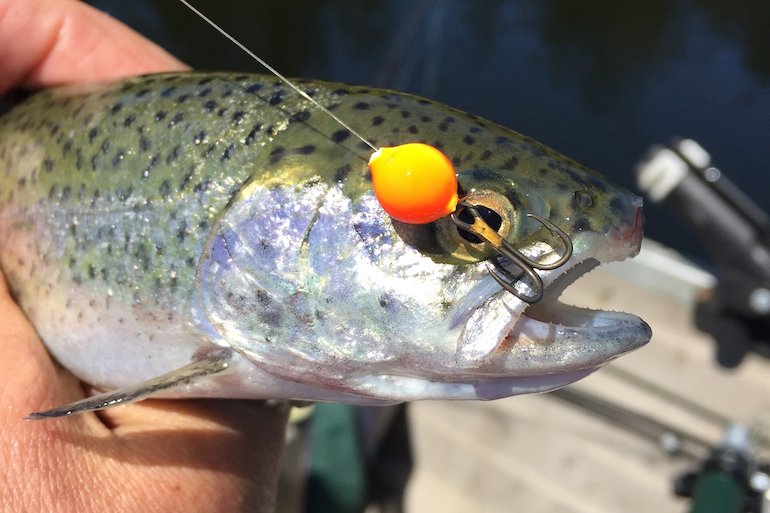 can-you-use-treble-hooks-for-trout